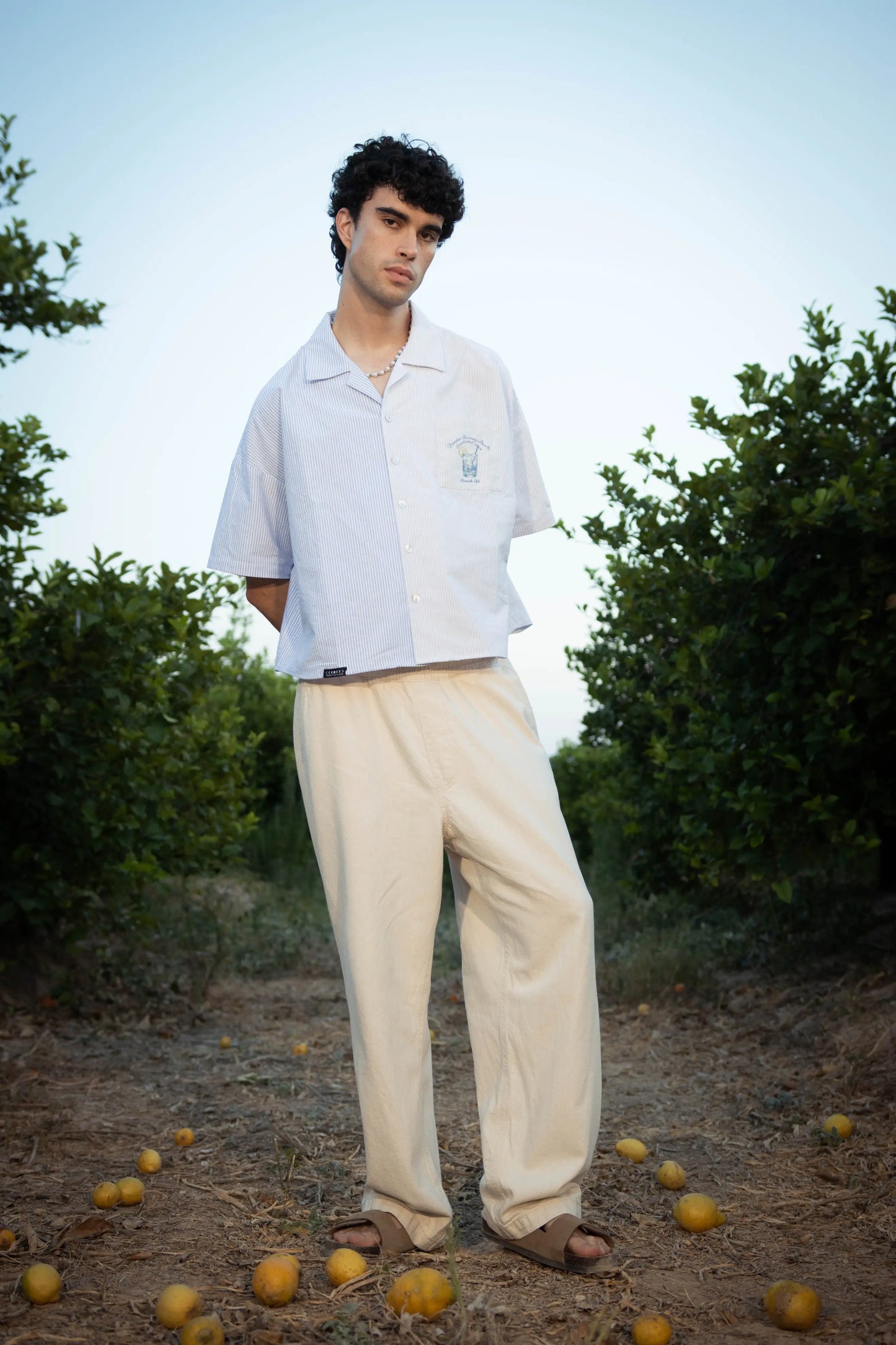 LIMONCELLO SHIRT